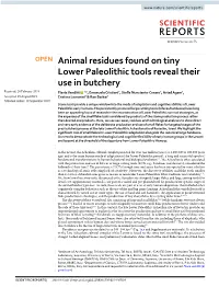 Animal Residues Found on Tiny Lower Paleolithic Tools Reveal Their Use In