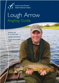 Lough Arrow Angling Guide