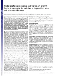 Nodal Protein Processing and Fibroblast Growth Factor 4 Synergize to Maintain a Trophoblast Stem Cell Microenvironment