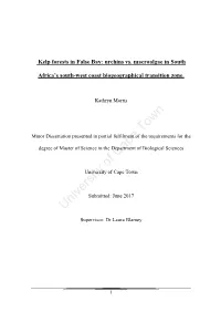 Kelp Forests in False Bay: Urchins Vs