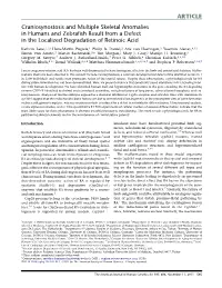 Craniosynostosis and Multiple Skeletal Anomalies in Humans and Zebraﬁsh Result from a Defect in the Localized Degradation of Retinoic Acid