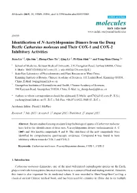 Identification of N-Acetyldopamine Dimers from the Dung Beetle Catharsius Molossus and Their COX-1 and COX-2 Inhibitory Activities