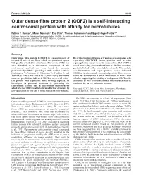 ODF2) Is a Self-Interacting Centrosomal Protein with Affinity for Microtubules