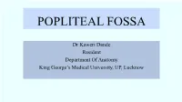 Popliteal Fossa
