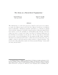 The Brain As a Hierarchical Organization ∗
