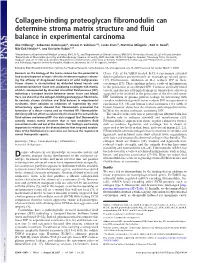 Collagen-Binding Proteoglycan Fibromodulin Can Determine Stroma Matrix Structure and Fluid Balance in Experimental Carcinoma