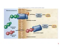 Cytoplasm External Environment Membrane Receptor Intracellular Receptor Plasma Membrane Signal Transduction Pathway Signal Trans