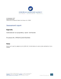Assessment Report