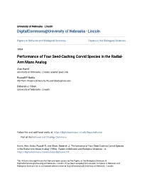 Performance of Four Seed-Caching Corvid Species in the Radial-Arm Maze Analog" (1994)