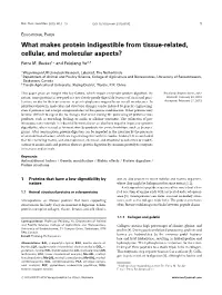 What Makes Protein Indigestible from Tissue-Related, Cellular, and Molecular Aspects?