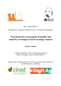 Non-Destructive Assessment of Quality and Maturity of Mangoes Based on Image Analysis