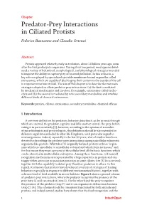 Predator-Prey Interactions in Ciliated Protists Federico Buonanno and Claudio Ortenzi