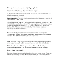 Higher Plants Review C3 Vs C4 Pathways of Photosynthesis In