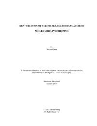 Identification of Telomere Length Regulators By
