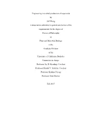 Thesis Revision 12.8.17
