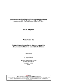 Final Report