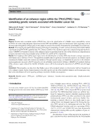 Identification of an Enhancer Region Within the TP63/LEPREL1 Locus Containing Genetic Variants Associated with Bladder Cancer Risk