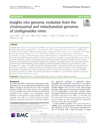 Insights Into Genomic Evolution from the Chromosomal and Mitochondrial