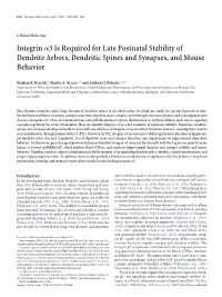 Integrinɑ3 Is Required for Late Postnatal Stability of Dendrite