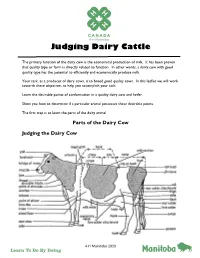 Judging Dairy Cattle