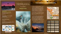 Nebraska the SANDHILL CRANE MIGRATION Flyway Each Spring, Something Magical Happens in the Heart the CENTRAL FLYWAY of the Great Plains