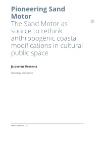 Pioneering Sand Motor the Sand Motor As Source to Rethink Anthropogenic Coastal Modifications in Cultural Public Space