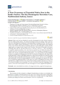 A New Occurrence of Terrestrial Native Iron in the Earth's Surface
