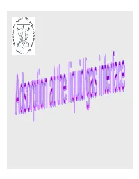 Adsorption at the Liquid/Gas Interface