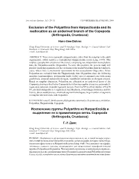 Exclusion of the Polyarthra from Harpacticoida and Its Reallocation As an Underived Branch of the Copepoda (Arthropoda, Crustacea)