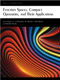 Function Spaces, Compact Operators, and Their Applications