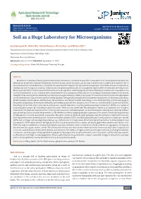 Soil As a Huge Laboratory for Microorganisms