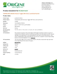 TSPAN6 (NM 003270) Human Tagged ORF Clone Lentiviral Particle Product Data