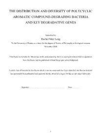 Diversity and Function Within Hydrocarbon-Degrading