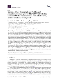 Genome-Wide Transcriptome Profiling of Mycobacterium Smegmatis MC2