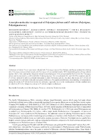 A Morpho-Molecular Re-Appraisal of Polystigma Fulvum and P. Rubrum (Polystigma, Polystigmataceae)