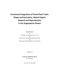 Functional Integration of Floral Plant Traits: Shape and Symmetry, Optical Signal, Reward and Reproduction in the Angiosperm Flower