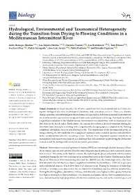Hydrological, Environmental and Taxonomical Heterogeneity During the Transition from Drying to Flowing Conditions in a Mediterranean Intermittent River
