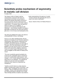 Scientists Probe Mechanism of Asymmetry in Meiotic Cell Division 7 October 2008