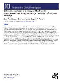 Differential Regulation of Inotropy and Lusitropy in Overexpressed Gsα Myocytes Through Camp and Ca2+ Channel Pathways