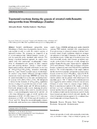 Topotaxial Reactions During the Genesis of Oriented Rutile/Hematite Intergrowths from Mwinilunga (Zambia)