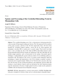 Uptake and Processing of the Cytolethal Distending Toxin by Mammalian Cells