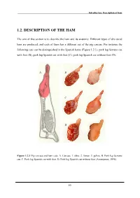 1.2. Description of the Ham