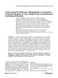 Connecting Evolutionary Morphology to Genomics Using Ontologies: a Case Study from Cypriniformes Including Zebraﬁsh PAULA M