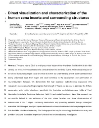 Direct Visualization and Characterization of The