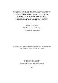 Morphological and Molecular Approaches to Characterise Modifications Relating to Mammalian Hairs in Archaeological, Paleontological and Forensic Contexts