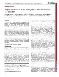 Regulation of Sec16 Levels and Dynamics Links Proliferation And