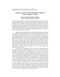 Structural Aspects of Slow Mechanical Adaptation in the Vertebrate Cochlea