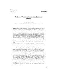 Analysis of Functional Domains on Glutamate Synthase