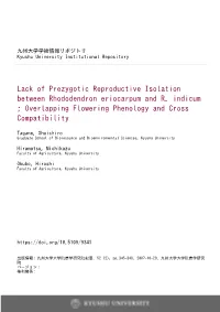 Lack of Prezygotic Reproductive Isolation Between Rhododendron Eriocarpum and R