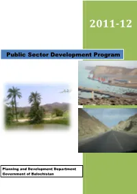 Public Sector Development Program